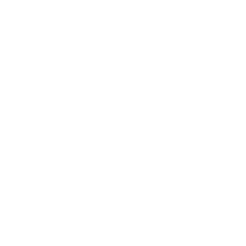 zexora icon